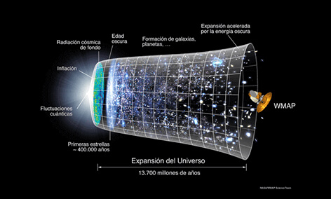 SCIENTIFIC ILLUSTRATOR