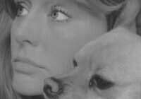 Woman and dog looking into distance.